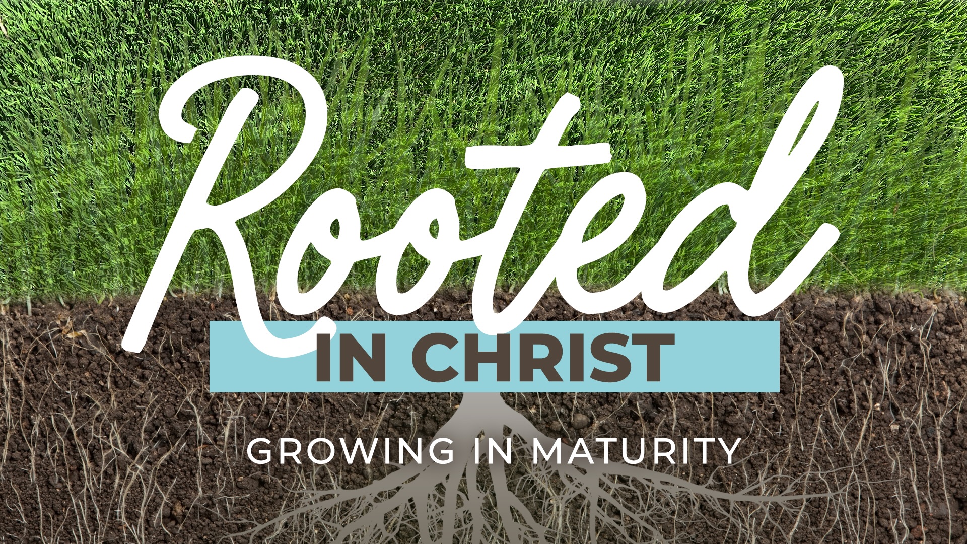 Growing In Maturity
